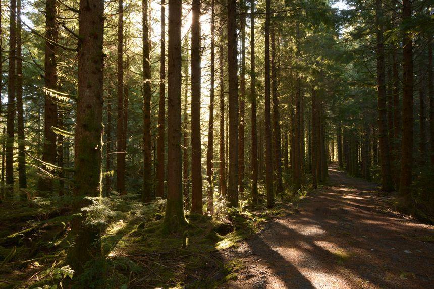 image for enterprise